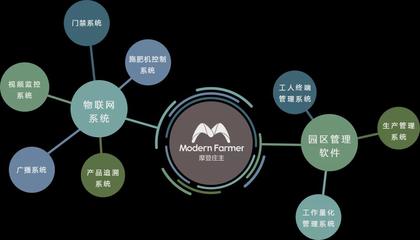 農業4.0時代 走進江蘇綠港的農場“辦公室”與數據處理